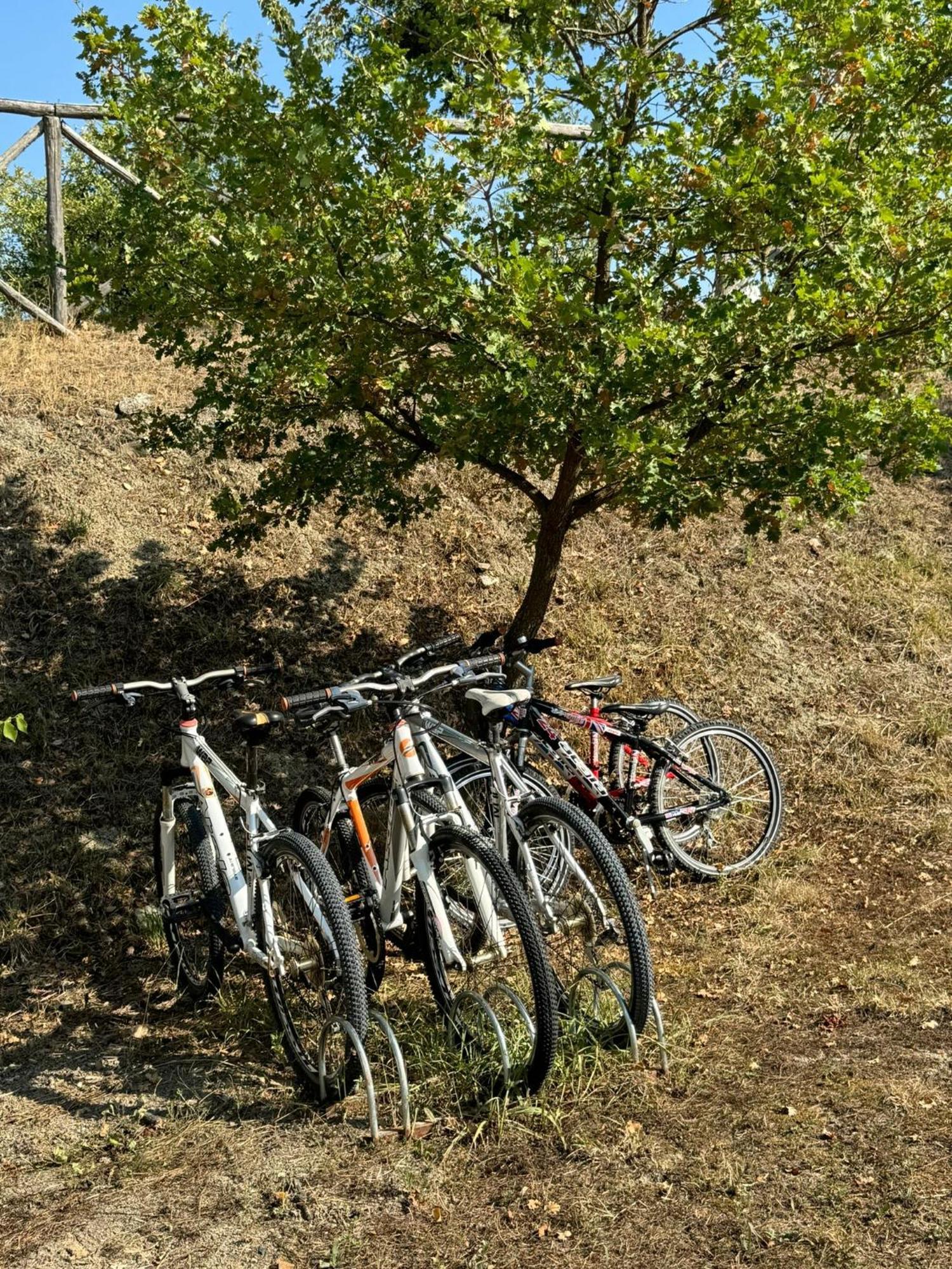 Agriturismo La Valle Dimenticata Urbania Εξωτερικό φωτογραφία
