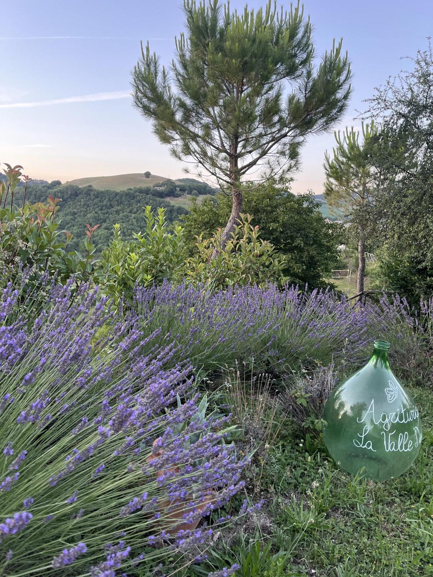Agriturismo La Valle Dimenticata Urbania Εξωτερικό φωτογραφία