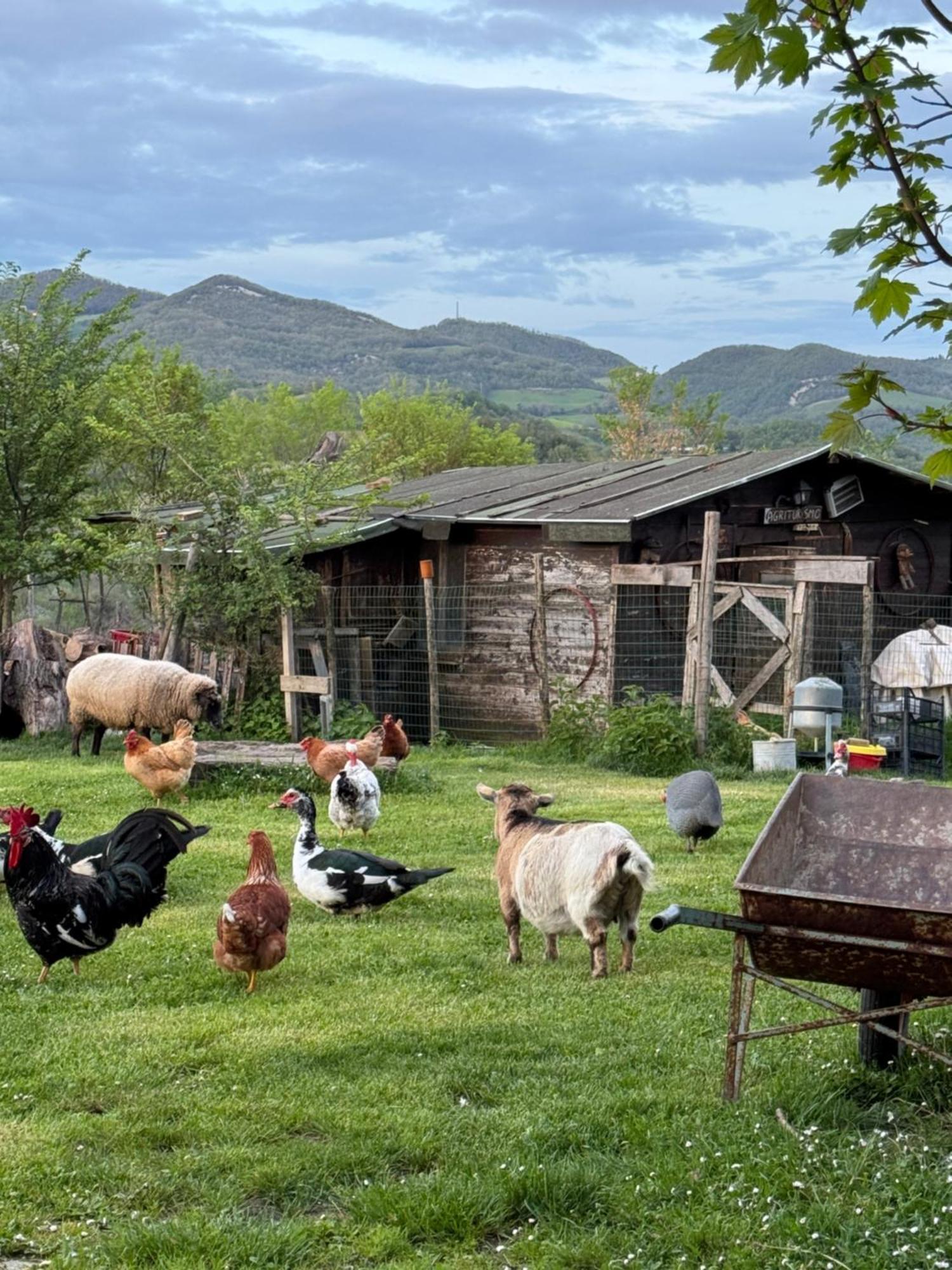Agriturismo La Valle Dimenticata Urbania Εξωτερικό φωτογραφία